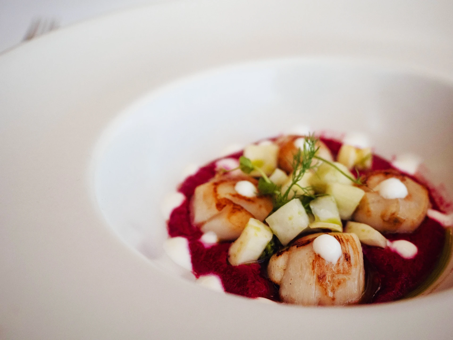 La cucina del Ristorante Da Alfredo a Varazze